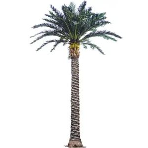Arboles Grandes Artificiales Outdoor Artificial Palm Trees Faux Date Tree