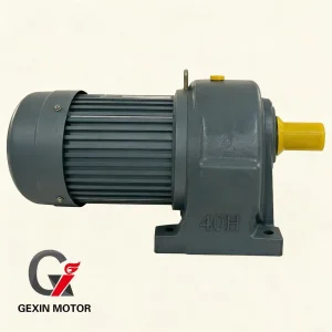 Small AC Gear Motor