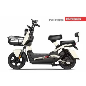 China Two-wheeled Electric Bike Model: Cool Battle