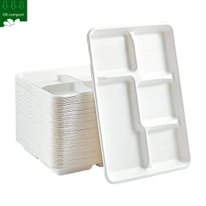 Biodegradable Sugarcane Meal Trays with Lid