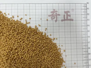 Chest Flank Pain Herbal Medicine Jie Zi Sinapis Semen