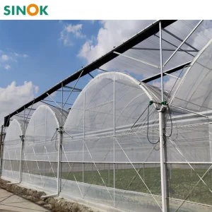 Agricultural Multi-Span Arch Type UV Plastic PE Film Greenhouse for Vegetables/Fruit/Strawberry/Cucumber/Tomato/Lettuce/Eggplant with Hydroponic Growing System