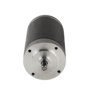 L59100 High Torque 24V Brushed DC Permanent Magnet Motor