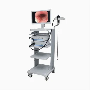 Diagnosis Equipment Comprehensioned Digital Endoscope Imaging System