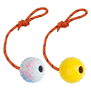 Interactive Rubber Dog Training Ball