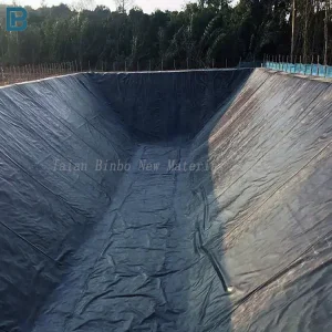 High Quality HDPE Geomembrane Liner 0.5mm-2mm ASTM Standard Anti-UV Modern Dam Liner 1mm Made PVC LDPE EVA LLDPE PP for Ponds