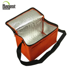 Bolsa Térmica Aislada Caliente Fría 6 - 24 para Botella Impresa de Entrega de Comida Almuerzo Picnic