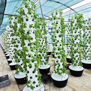 Agg Hydroponics Tray Tower Aquaponics Grow System Lettuce Mint Tower Garden Vertical Hydroponic Column System