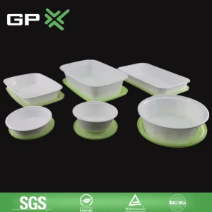 Disposable Food Container