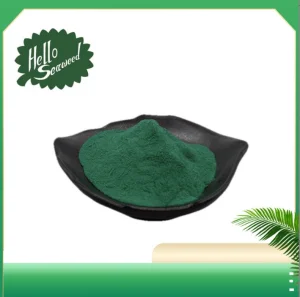 Green Source Wholesale Price Bulk Spirulina High Quality Spirulina Powder
