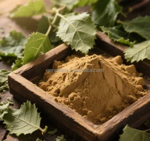Mulberry Leaf Extract Powder Dnj Plant Extract Warehouse Stock Fast Shipping