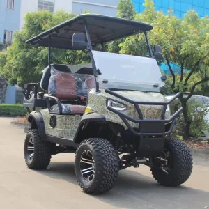 Golf Cart Electric Golf Car