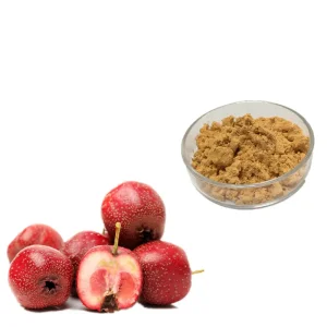Wholesale Manufacturer Directly Supply Hawthorn Extract Powder