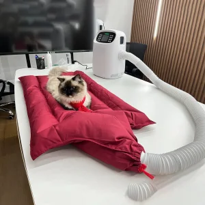 Clinic Surgical Care Automatic Air Warming System Machine Pet Constant Temperature Heating for Dog