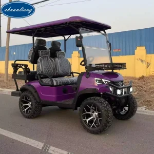 High Speed Purple