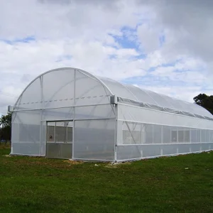 Film Greenhouse