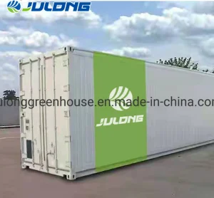 Modern Smart Hydroponic System Growing Shipping Container Greenhouses for Lettuce Leafy Vegetables Farming