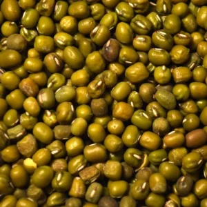 High Quality Buyers Premium Dried Bulk Natural Protein Green Mung Beans
