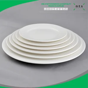 High-Quality Porcelain Dinner Plate Wholesale Ceramic Plate Restaurant, Hotel Dinner Plate