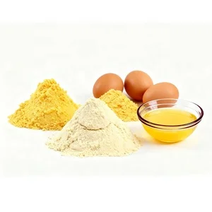 Wholesale High-Absorption Protein Powder