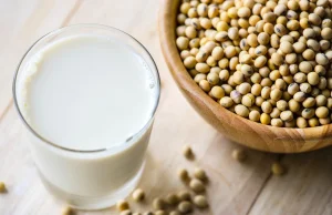 Wholesale Isolated Soy Protein 9030/9032
