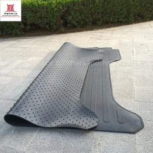 Custom Rubber Ute Tray Mat, Pickup Truck Bed Liner for Dodge RAM 1500 2019-2024