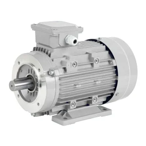 Flange Mounted Servo