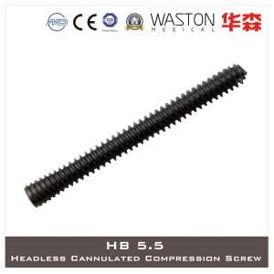 Hb5.5 Titanium Headless Cannulated Compression Screws