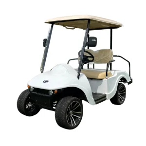 EEC 2 Seat Cart