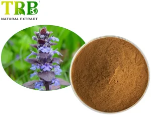 China Ajuga Turkestanica Extract Suppliers, Factories