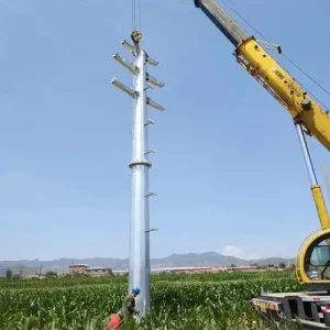 Hot DIP Galvanized 12 Meters Street Lighting Pole Single Arm Street Lamp Pole