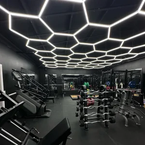 LED Hexagonal Garage Light 6500K For Car Showroom Beauty Work Ceiling Working Purpose Honeycomb Lights