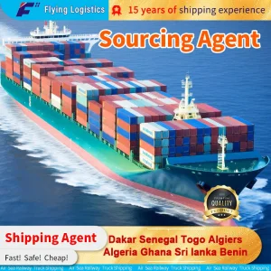 Fast Sea Freight Forwarder Shipping Agent From Shenzhen China to Dakar Senegal Togo Algiers Algeria Ghana Sri Lanka Benin