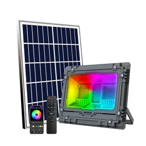 Security Solar Light