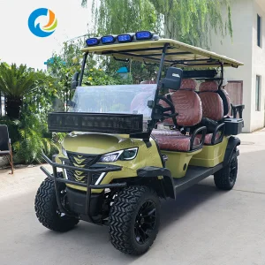 Robetaa Hot Sale 6 Seater Electric Golf Cart