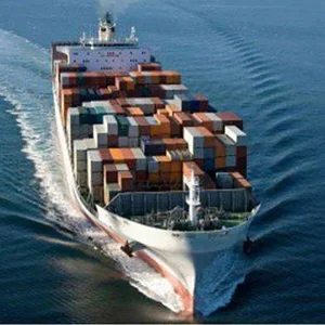Shanghai to Norfolk Ocean Freight