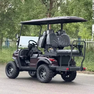 Golf Cart Car Custom Off-Road 5-6 Seater Electric Golf Cart with Lithium Battery Professionally Designed for Clubs