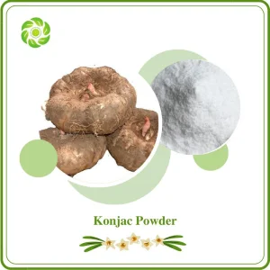 Polvo de konjac
