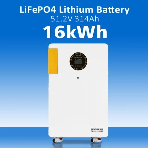 Long Cycle Life 51.2V 314Ah LiFePO4 Battery 16kwh Lithium Battery Lithium Cell Hybrid Solar Inverters 6kW/6kVA