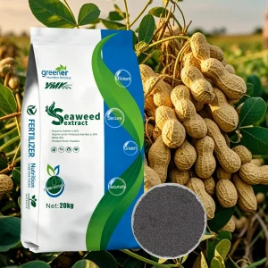 Marine Plant Extract Enzymatic Hydrolysis Seaweed Extract Powder and Granulated Fertilizer Scoop Eco Friendly Increase Yield