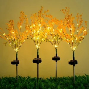Brightrapeseed Solar