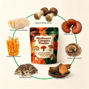 Nutritional 10 In1 Mushroom Complex Powder With Lions Mane, Reishi, Cordyceps, Chaga, Turkey Tail Mushroom Extract Powder