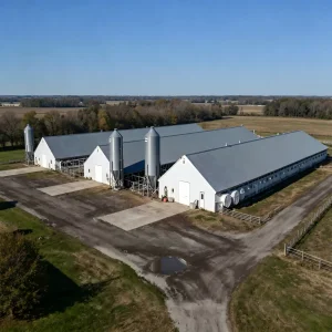 Modern Climate Controlled Steel Structure Poultry House Building Rock Wool/Glass Wool Sandwich Wall Panels For Broiler Layer