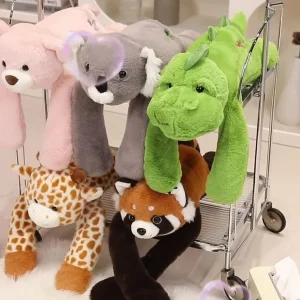 Koala Giraffe