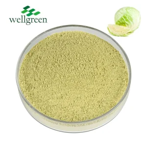 Polvo de repollo verde orgánico natural