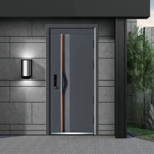 China Metal Aluminum Door