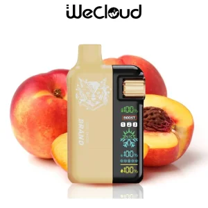 Rechargeable E-Cigarette 15000 20000 Puff