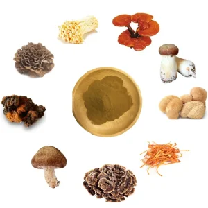 9 in 1 Multi-Mushroom Extract Formula