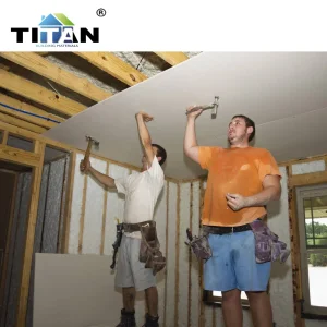 Gypsum Gypsum Board Ceiling System