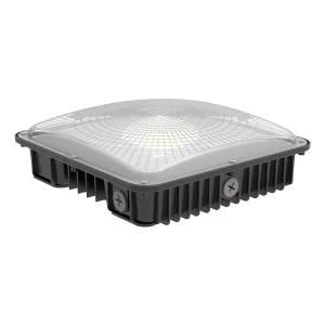 Anerhui IP65 Outdoor Die Cast Aluminum LED Canopy Lights 40W/50W/75W Dimmable 5-Year Warranty Easy Installation Gas Station
